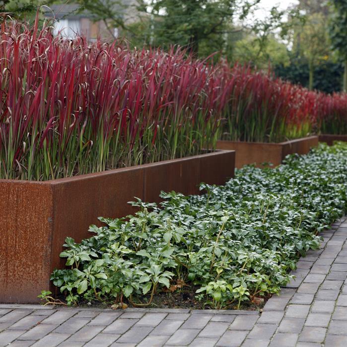 CRS3.600.2000 straight - Cortenstaal,Keerwanden,Keerwand 600,2000 x 300 x 600 mm