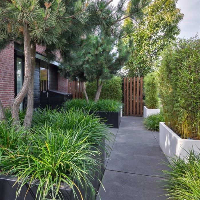 AFW5.1 - Aluminium,Planters,CARREZ Without bottom,1000 x 1000 x 800 mm