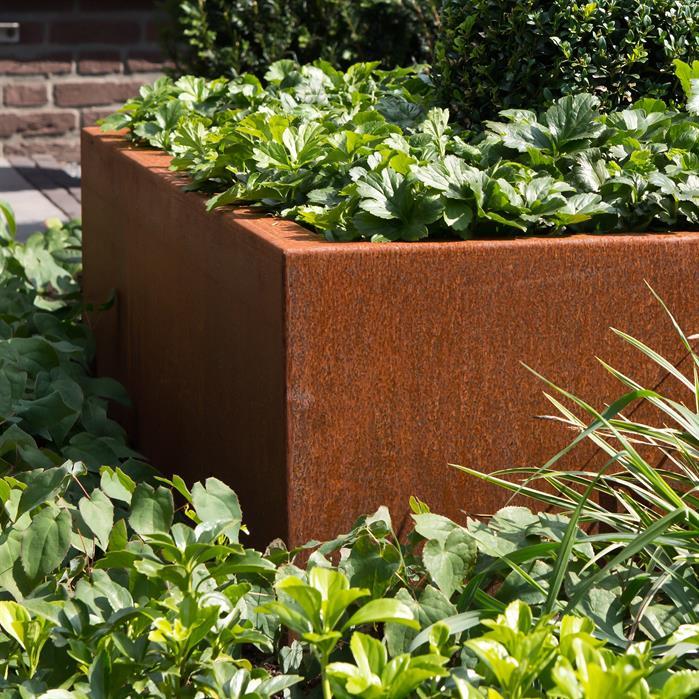 CAW5.3 - Cortenstaal,Plantenbakken,CARREZ Zonder bodem,1000 x 1000 x 400 mm
