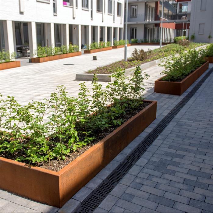 CAW5.3 - Cortenstaal,Plantenbakken,CARREZ Zonder bodem,1000 x 1000 x 400 mm