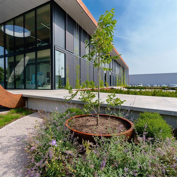 CTW5.2 - Cortenstaal,Plantenbakken,CIRCUM Zonder bodem,1000 x 600 mm