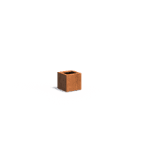 CA10