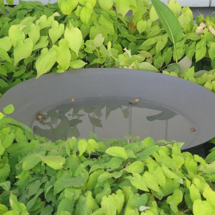 WNG1 - steel DB703   - Gecoat staal,Waterelementen,Waterschalen,600 x 140 mm