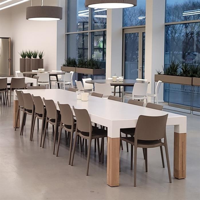 TBW260 Table Borra wooden legs 