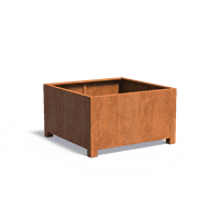 CAP3.1
