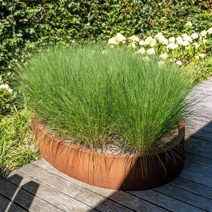CEL3 - Cortenstaal,Plantenbakken,ELLIPSE met bodem,2000 x 1200 x 600 mm