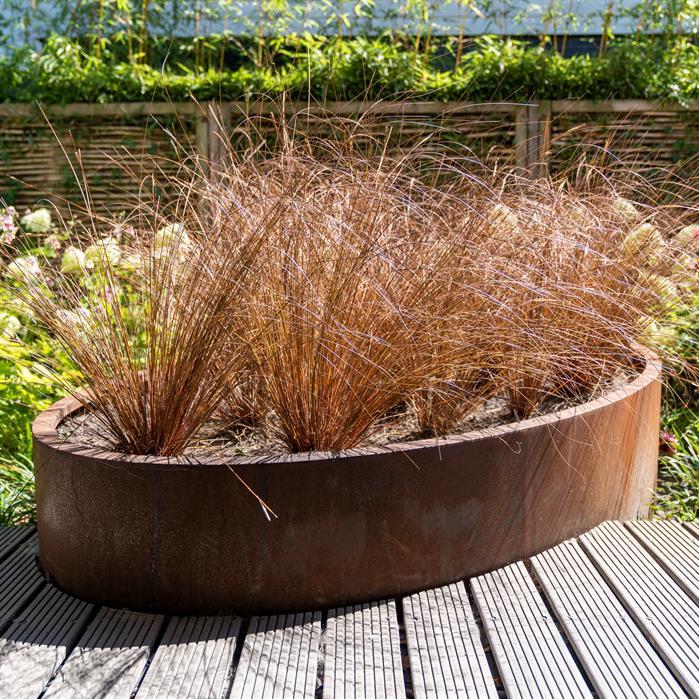 CEL3 - Cortenstaal,Plantenbakken,ELLIPSE met bodem,2000 x 1200 x 600 mm