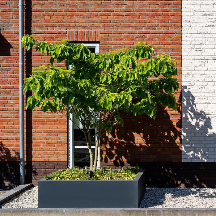 PB4.2 - Polyester,Plantenbakken,CARREZ met bodem,1200 x 1200 x 600 mm