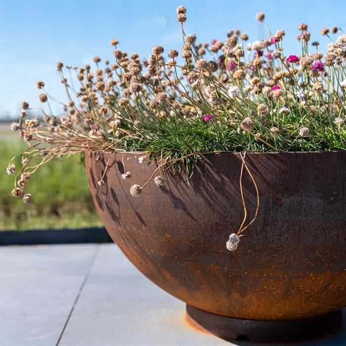 BOC2 - Cortenstaal,Plantenbakken,BOCCA,1000 x 510 mm
