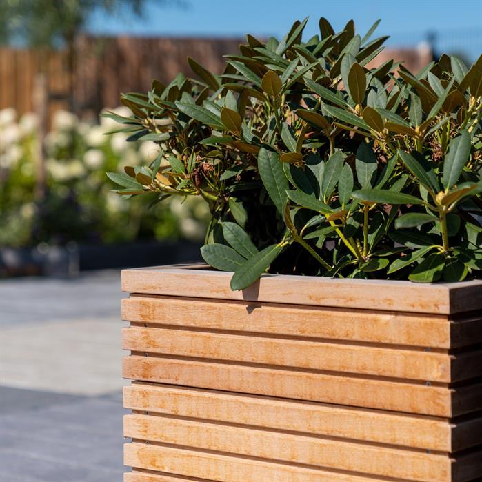 HRS22.2 - Hardhout,Plantenbakken,MALAGA RHOMBUS,1200 x 500 x 608 mm