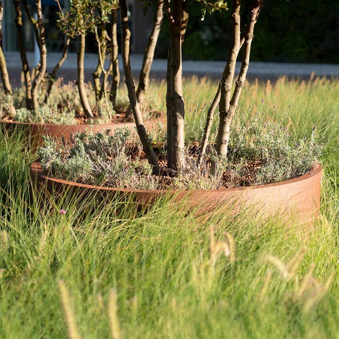 CTW4.2 - Cortenstahl,Pflanzkübel,CIRCUM Ohne boden,1200 x 600 mm