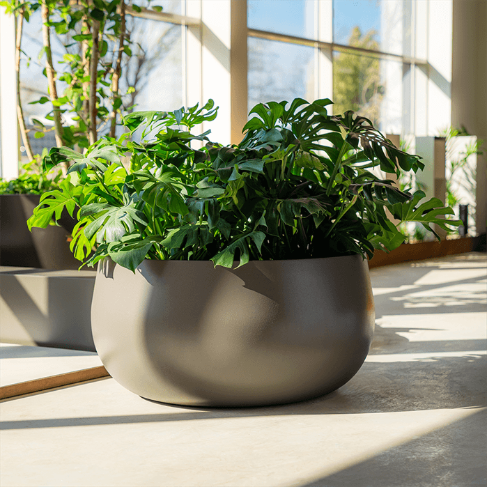 PLO10 - Fiberglas,Pflanzkübel,LORA,1200 x 600 mm