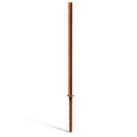 CPP1
