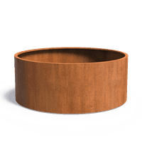 CT1.1
