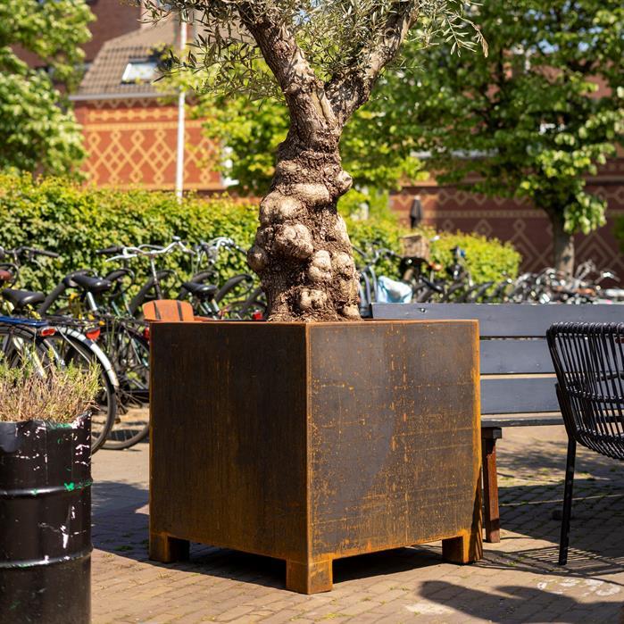 CAP8 - Cortenstaal,Plantenbakken,CARREZ met poten,600 x 600 x 600 mm