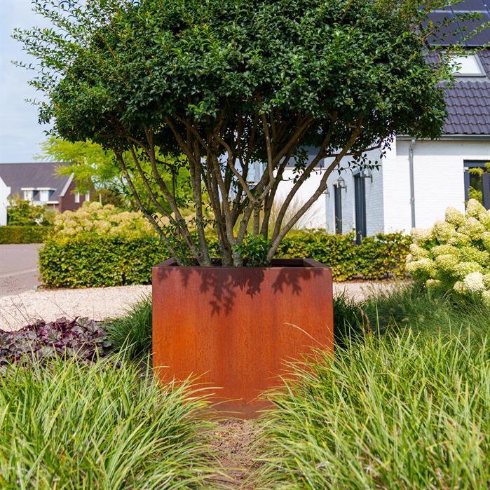 CA24 - Cortenstaal,Plantenbakken,CARREZ met bodem,2000 x 400 x 800 mm