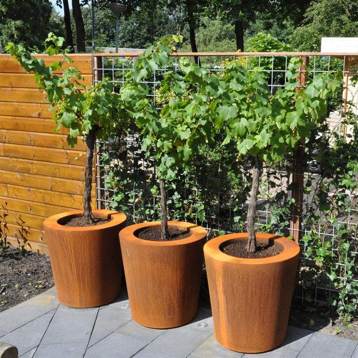 CC5 - Stal kortenowska,Donice,CONIC z dnem,1000 x 1000 mm