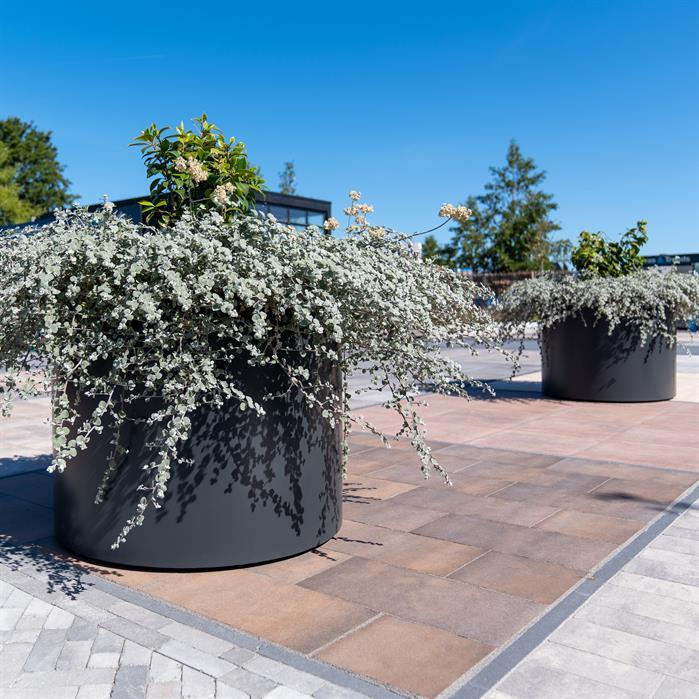 AM4.2 - Aluminium,Plantenbakken,CIRCUM met bodem,1200 x 600 mm
