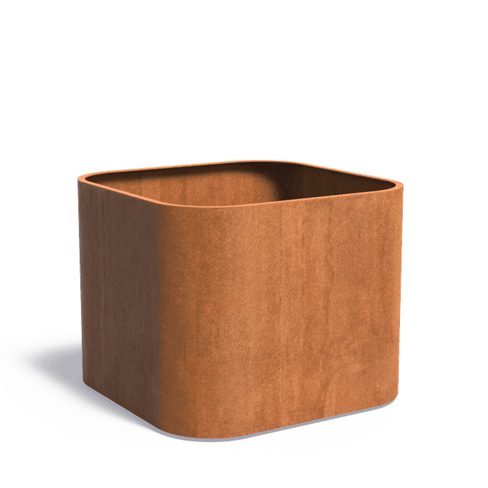 TOC1