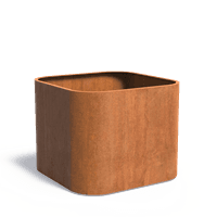 TOC1