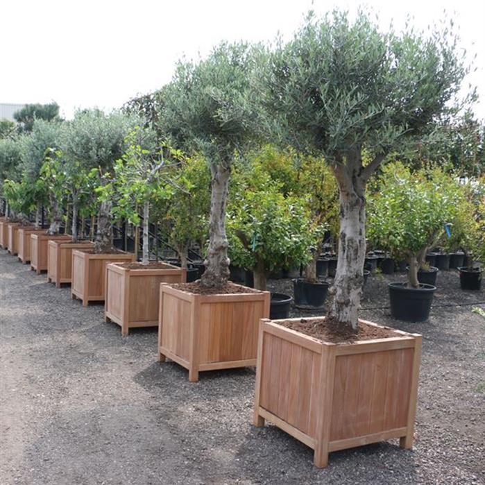 HR24.2 - Hardhout,Plantenbakken,VALENCIA,1200 x 400 x 800 mm