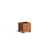 CAP8