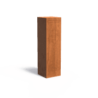 NOC1