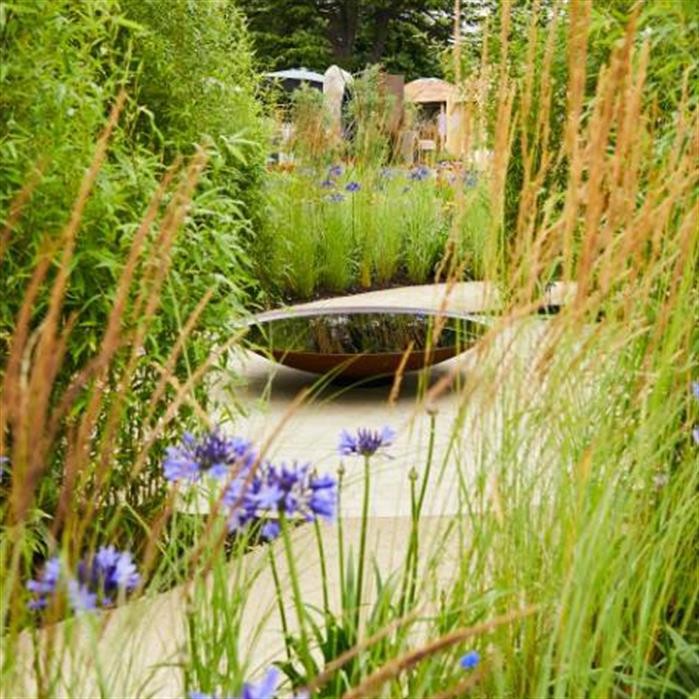Water bowls (undefined)