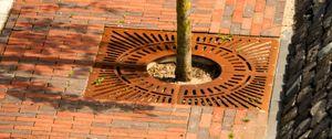 Tree gratings & protectors